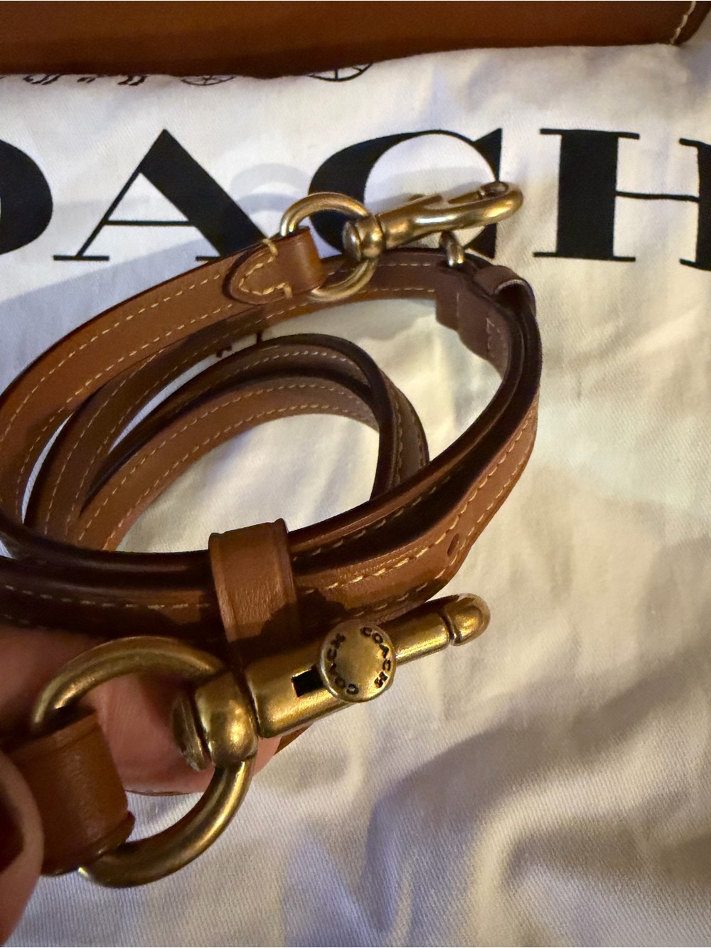 Coach Cashin Carry Tote XL - Picture 5 of 12